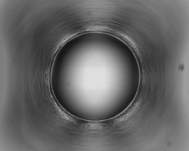 X0000100371041200806131033