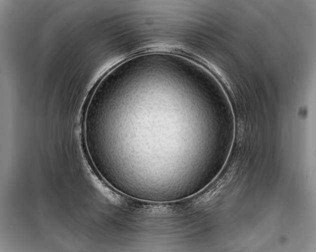 X0000100371042200806131033