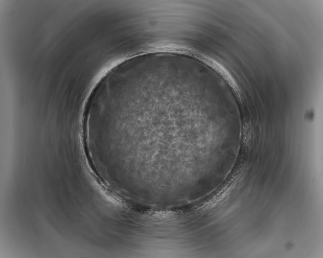 X0000100371043200806131033