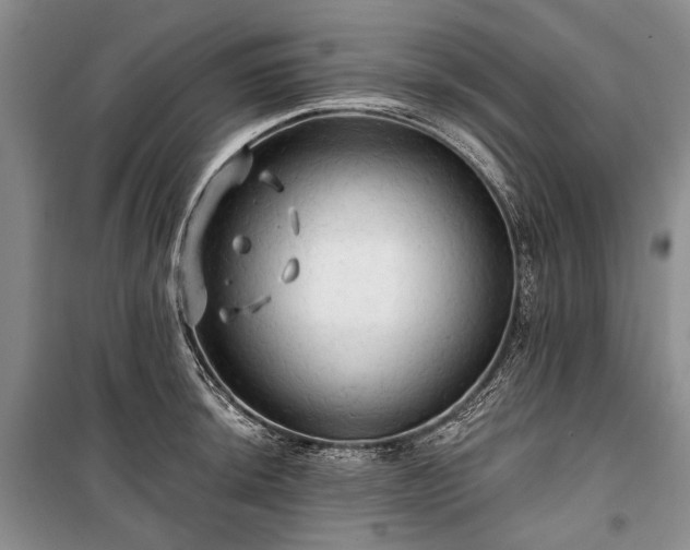 X0000100371044200806131033