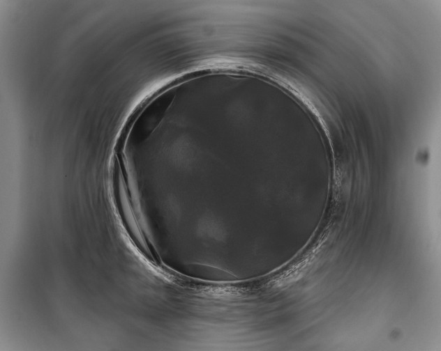 X0000100371045200806131033