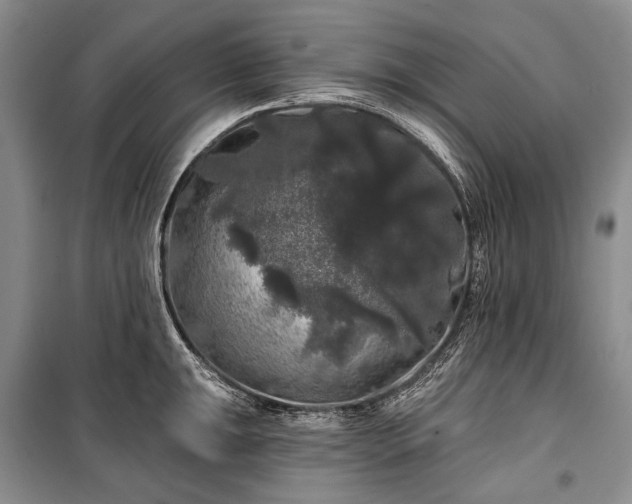 X0000100371047200806131033