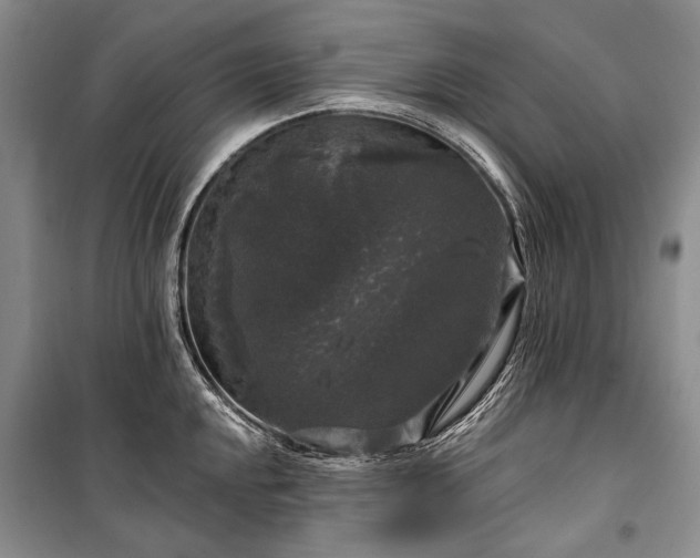 X0000100371048200806131033