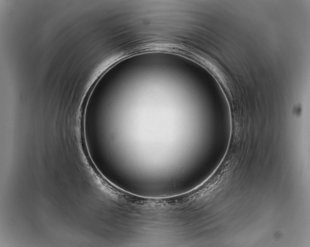 X0000100371050200806131033