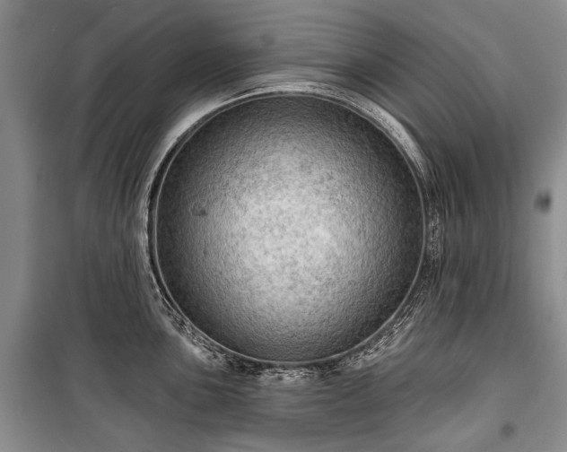 X0000100371051200806131033