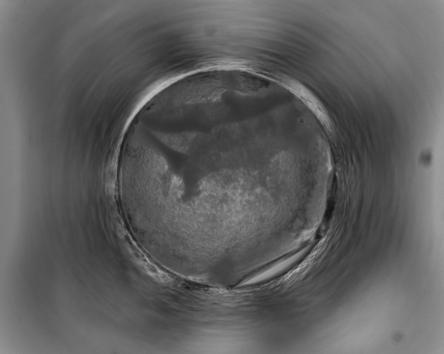 X0000100371052200806131033