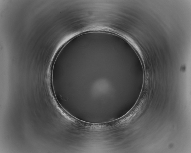 X0000100371053200806131033