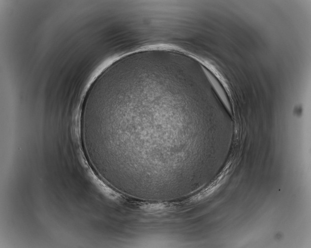 X0000100371054200806131033