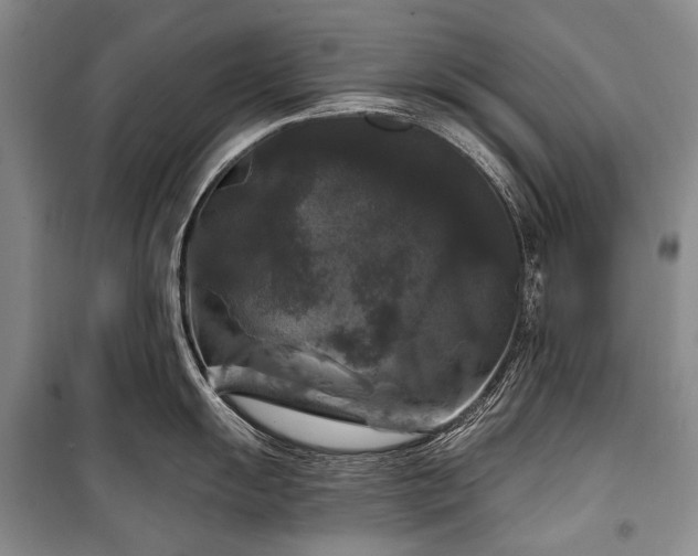 X0000100371055200806131033