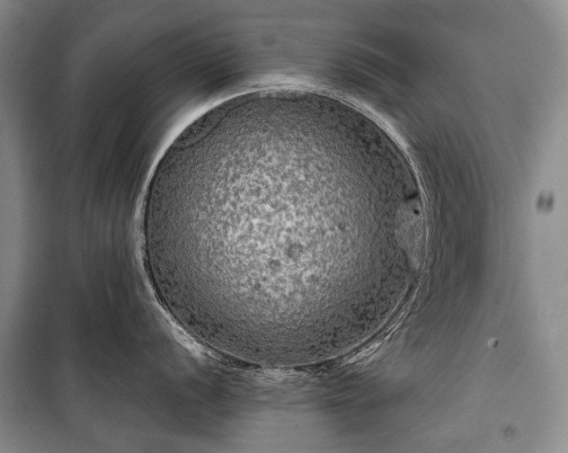 X0000100371056200806131033