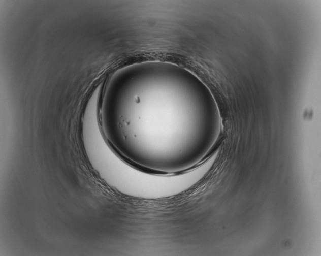 X0000100371057200806131032