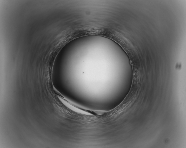 X0000100371058200806131032