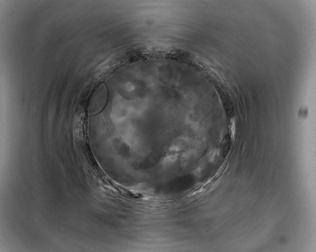 X0000100371059200806131032