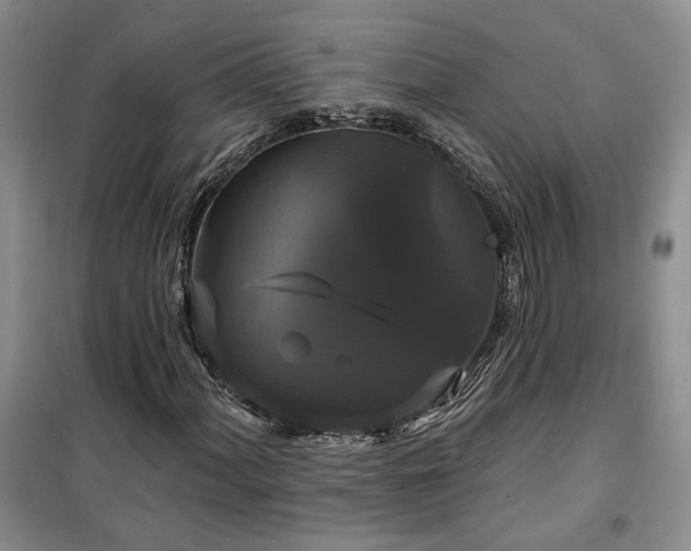 X0000100371060200806131032