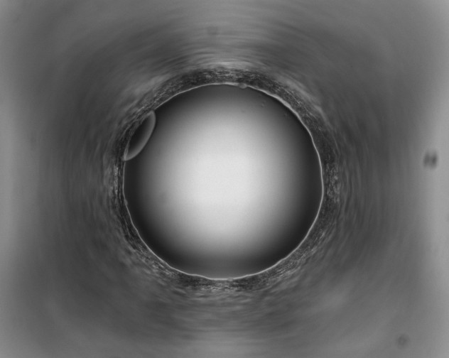 X0000100371061200806131032