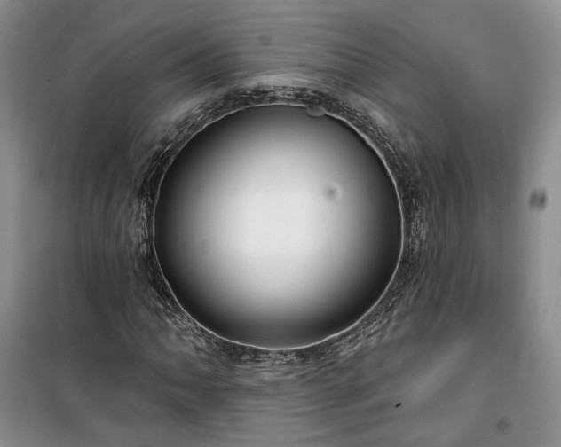 X0000100371062200806131032