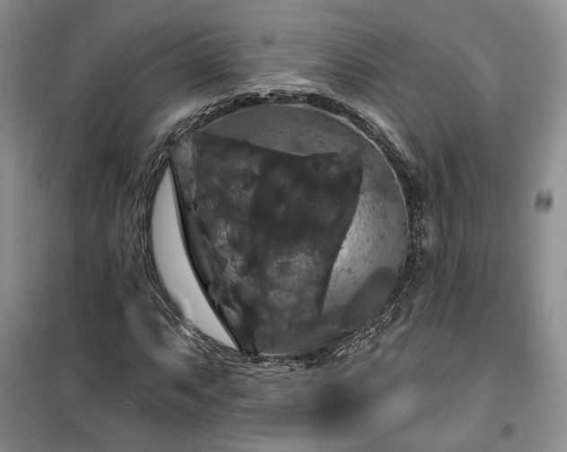 X0000100371063200806131032