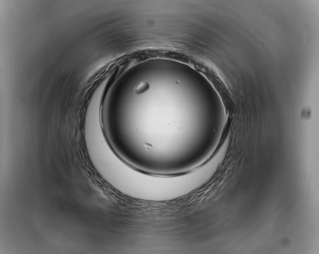 X0000100371064200806131032