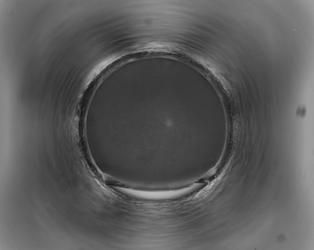 X0000100371066200806131032