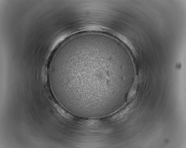 X0000100371067200806131032