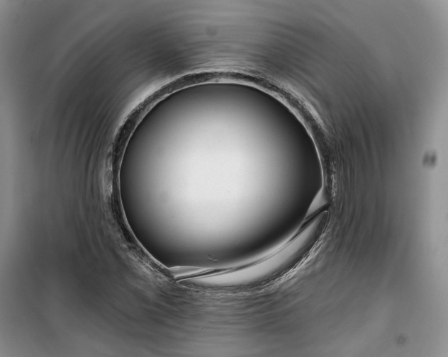 X0000100371069200806131032