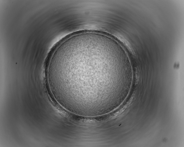 X0000100371070200806131032