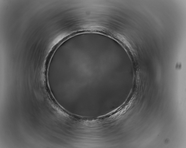 X0000100371071200806131032