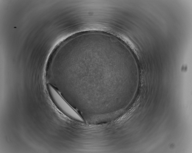 X0000100371072200806131032