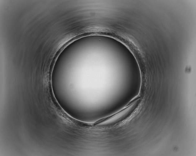 X0000100371073200806131032