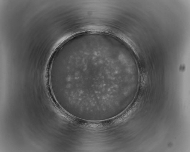 X0000100371074200806131032