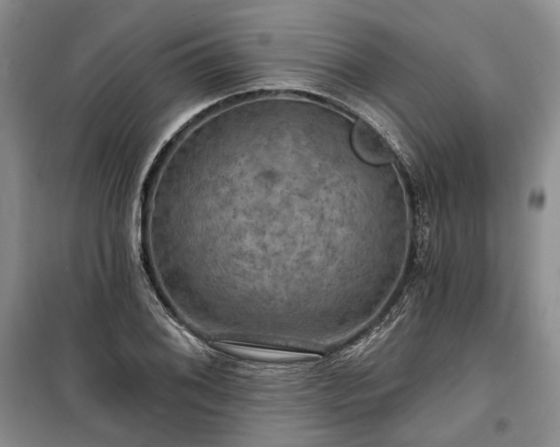 X0000100371076200806131032