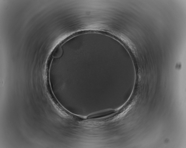 X0000100371077200806131032