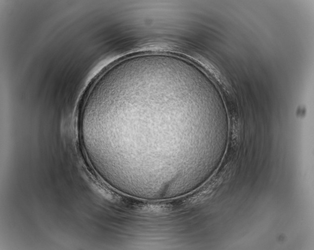 X0000100371078200806131032