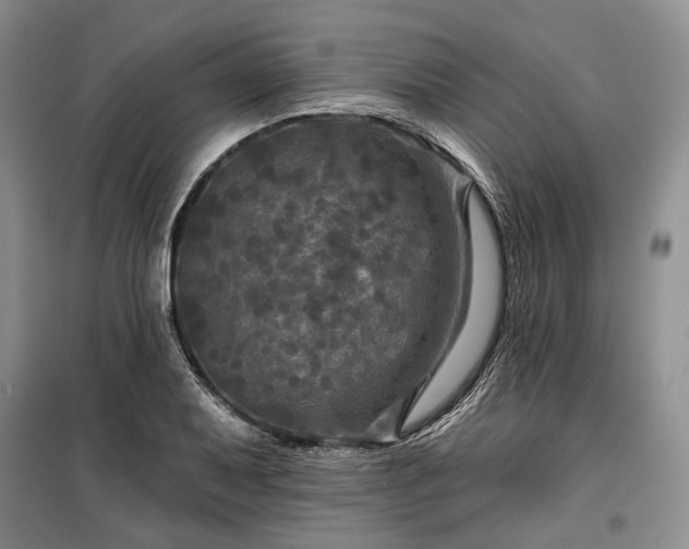 X0000100371079200806131032