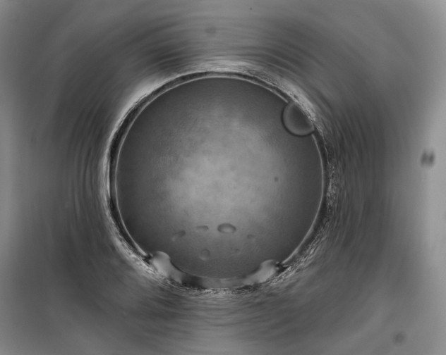 X0000100371080200806131032