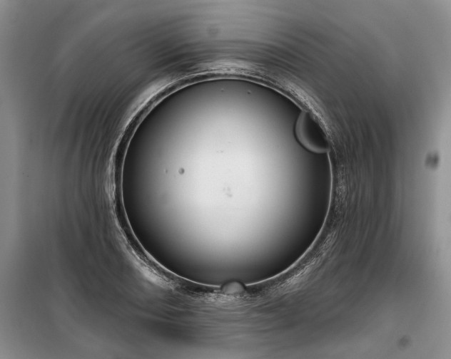 X0000100371082200806131032