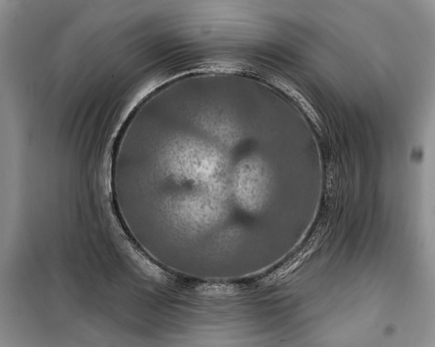 X0000100371083200806131032