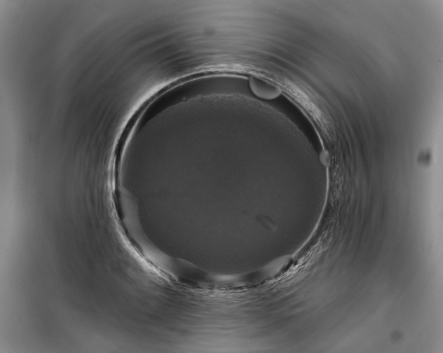 X0000100371084200806131032