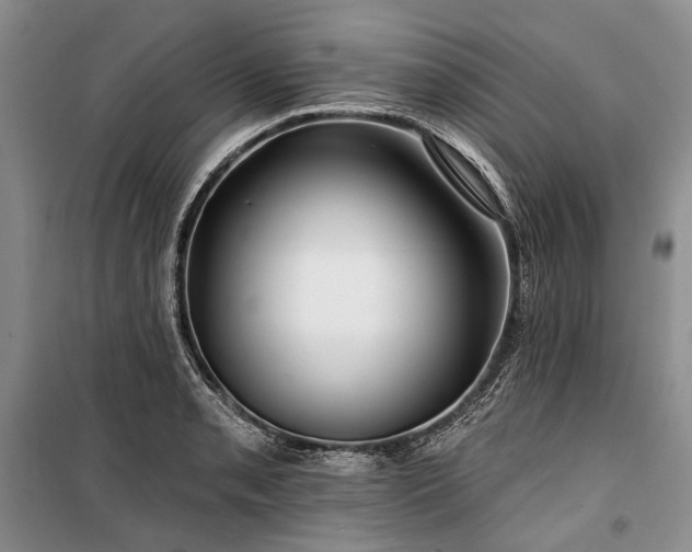 X0000100371085200806131032