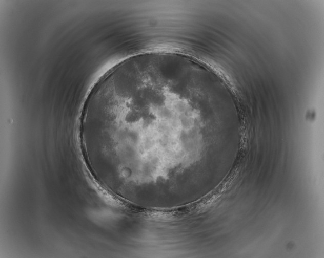 X0000100371086200806131032