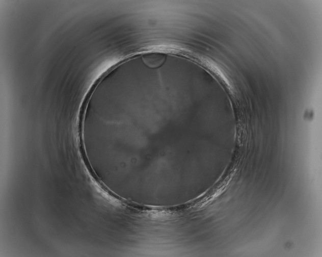 X0000100371087200806131032