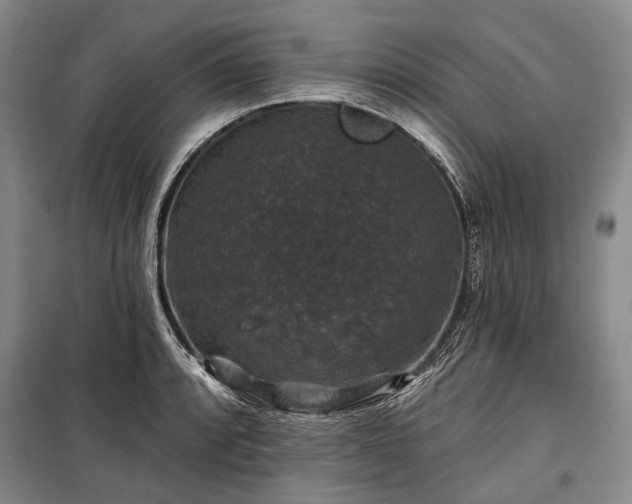 X0000100371088200806131032