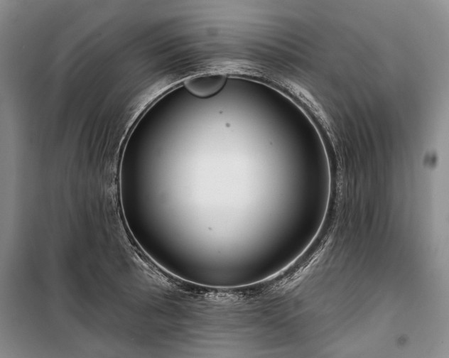 X0000100371089200806131032