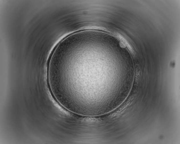 X0000100371092200806131032