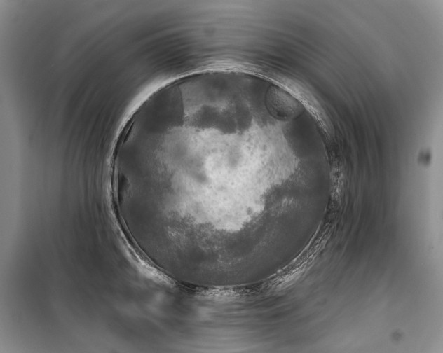 X0000100371094200806131032