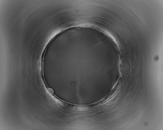 X0000100371095200806131032