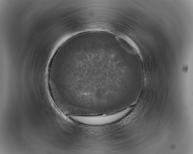 X0000100371096200806131032