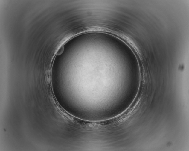 X0000100371097200806131032