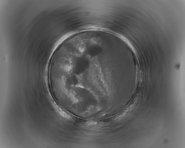 X0000100371098200806131032