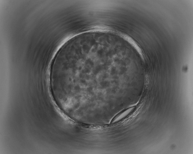 X0000100371099200806131032